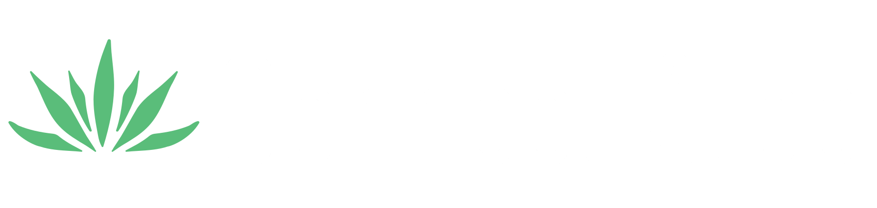 Connect'Aloe